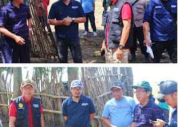 Tim RMCP Tinjau Lokasi Kandang Sapi Portable Catlli