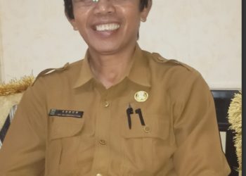 Ribuan Sapi Tak Laku di Jakarta,  Kadisnakwan Dompu Angkat Bicara