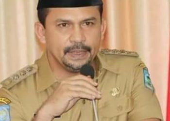 Inginkan Harga Jagung Stabil, Bupati Terus Melobi Pemerintah Pusat