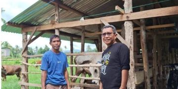 Disnakeswan Serius Perangi PMK, 6000 Dosis Vaksin Kembali Dikerahkan