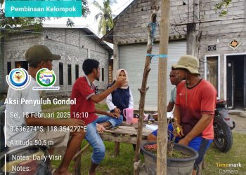 Dislutkan Dompu Lakukan Pendataan Pokdakan Calon Penerima Pupuk Bersubsidi