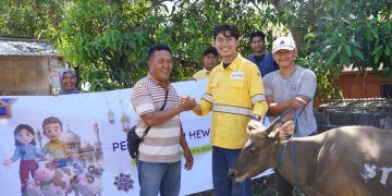 Perkuat Hubungan Sosial, STM Distribusikan 11 Ekor Sapi untuk Masyarakat Dompu