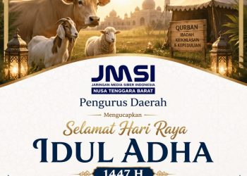 JMSI NTB