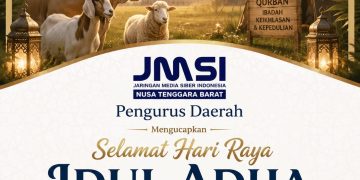 JMSI NTB